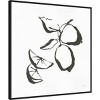 30" x 30" Limes BW by Chris Paschke Canvas - Amanti Art: Ink Drawing Style, Home Decor - 2 of 4