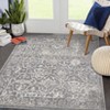 Vintage Area Rug Retro Floral Indoor Carpet Oriental Medallion Floor Rug Aesthetic Carpet Traditional Rug for Living Room Bedroom Kitchen - 3 of 4