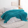 All Seasons Plush Flannel Blanket, Soft and Warm Bed Blanket for Couch Sofa Bed - NTBAY - 2 of 4