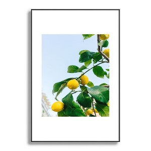 Bethany Young Photography Amalfi Coast Lemons 24"x36" Black Metal Framed Art Print - Deny Designs - 1 of 4
