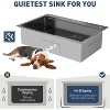 Acekool 33"x22"x9" Drop-In Stainless Steel Kitchen Sink, Top Mount Single Bowl with Pull-Down Faucet & Accessories, Black - 2 of 4