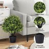 poetree 24 in Artificial Boxwood Topiary Ball Tree in Pot 2 Pack-Faux Shrubs for Indoor/Outdoor Decor - 3 of 4