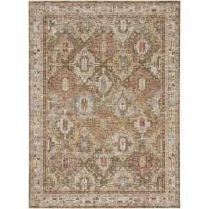 Nourison Petra Oramental Indoor Rug - 1 of 4