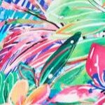 rainbow paradise