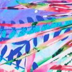 rainbow paradise