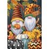 Fall Gnomes Humor House Flag Autumn Patterned Pumpkins 28" x 40" Briarwood Lane - 3 of 4