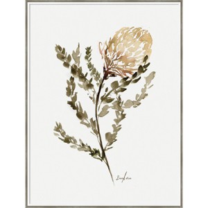 31" x 41" Wild Banksia by Sara Berrenson Wood Framed Wall Art Print - Amanti Art: Modern Style, Acrylic Glazed Lithograph, Hardwood Frame - 1 of 4