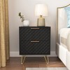 Resenkos 2 Drawer Bedroom Nightstand Set of 2 with Gold Metal Handle and Legs,  Bedside Table - 2 of 4