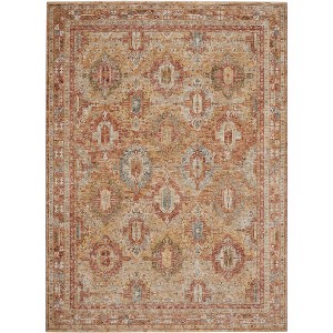 Nourison Petra Oramental Indoor Rug - 1 of 4