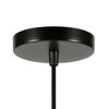 Hudson and Canal 8.63" Wide Pendant with Glass Shade - 4 of 4