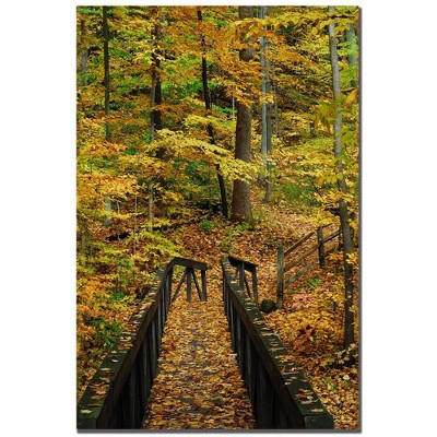  22" x 32" Fall Bridge by Kurt Shaffer - Trademark Fine Art 