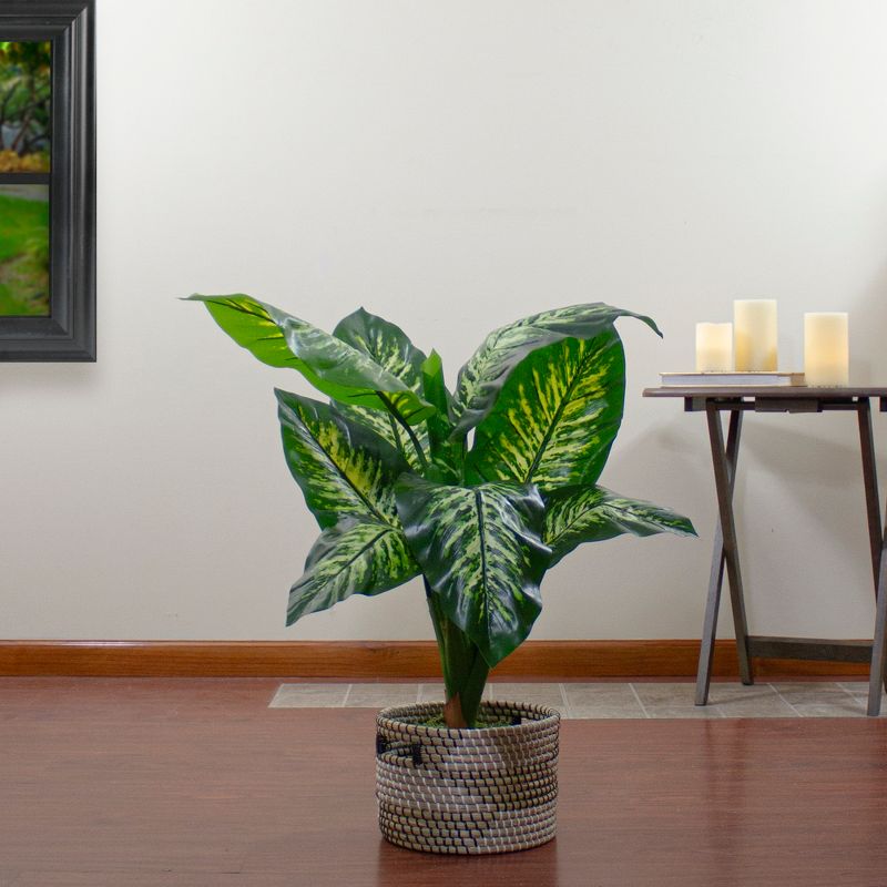 Northlight 36" Artificial Green and Ivory Variegated Leaf Dieffenbachia Potted Plant, 2 of 5