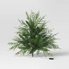 24" Pre-Lit Norfolk Cedar Artificial Greenery with Ground Stake - Wondershop™ - 3 of 4