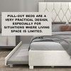 Queen Size Upholstered Platform Bed with Trundle and Storage Drawers - 4 of 4