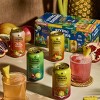 Flying Embers Birds of Paradise Variety - 8pk/12 fl oz Cans - 3 of 4