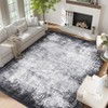 Area Rug, Washable Rug Soft Modern Bordered Abstract Low Pile Non-Slip Foldable Carpet for Living Room/Bedroom/Dining Room/Home - 4 of 4