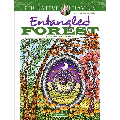 NEW Set/2 Creative Haven Adult Coloring Books Magical Landscapes & Lo –  Touched By Time Treasures