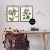 Stupell Industries Soft Eucalyptus Plant Ombre Leaves 2pc Floating Frame Art Set - 3 of 4