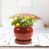 Southern Patio Wisteria 8 Inch Round Ceramic Indoor or Outdoor Garden Planter Pot with Saucer for Flowers and Plants, Red (4 Pack) - 4 of 4