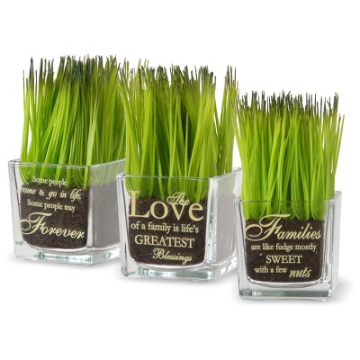 3pc Sprout-Filled Glass Artificial Assortment - National Tree Company