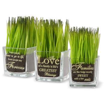 Love, Families, Forever Sprout Glass Assortment - National Tree Company