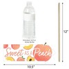 Big Dot of Happiness Funny Sweet as a Peach - Fruit Themed Baby Shower or Birthday Party Photo Booth Props Kit - 10 Piece - 3 of 4