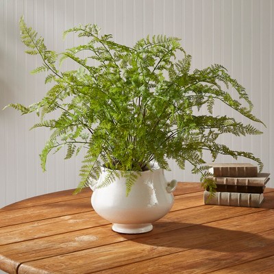 Lush Green Faux Fern Plant in Black Pot, 36"
