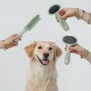 Dexypaws: Pet Slicker Brush - Large - Sage Green, Dog & Cat Grooming Tool - 4 of 4