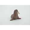 Collectible Wildlife Gifts | Walrus, Pinniped, Marine Mammal, Museum Quality, Hand Painted, Rubber Animal, Toy, Model, Gift, 2 1/4" CH479 BB153 - 4 of 4