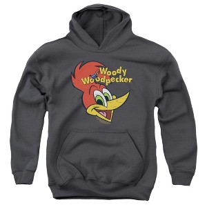 Boys’ Woody Woodpecker Retro Logo Hooded Sweatshirt - 1 of 4