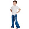 Intimo Harry Potter Boys Houses Plaid Pajama Lounge Pants - 2 of 4