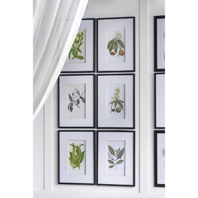 Set of 2 Black Framed Botanical Fruit Wall Art