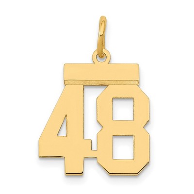 Black Bow Jewelry 14k Yellow Gold, Athletic Collection, Small Polished Number 48 Pendant