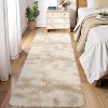 Fluffy Area Rug- Shag Area Rug for Living Room, Shaggy Large Indoor Thick Living Room Carpet with Non-Slip Backing, Soft Plush Carpet - 2 of 4