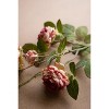 Artificial Antique Garden Rose Stem – 26" Tall Faux Floral Accent, Set of 6 by Kalalou - 3 of 3