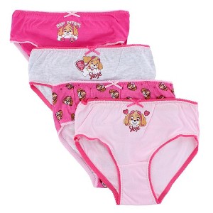 Textiel Trade Girl's Skye Paw Patrol Assorted Briefs (4-Pack) - 1 of 4