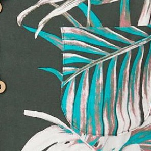 olive leaf