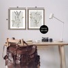 Stupell Industries Delicate Wildflower Herb Sprigs 2pc Floating Frame Art Set - 3 of 4