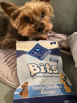 Blue buffalo blue outlet bits training dog treats