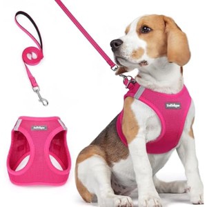 rabbitgoo Dog Harness Small Medium Sized and Leash Set, Breathable Mesh Pet Harness, Reflective for Safe Easy Walking, Rose Red L - 1 of 1