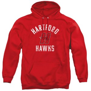 University of Hartford Official Hawks Logo Adult Pull-Over Hoodie - 1 of 4