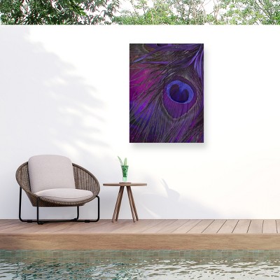 Trademark Fine Art - Color Bakery Peacock Candy IV Matted Framed Art