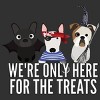 Boy's Design By Humans Dog Halloween - We're Only Here For The Treats By PedigreePrints T-Shirt - 2 of 3
