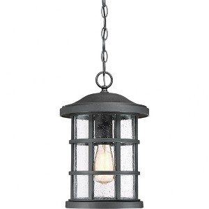 Quoizel Lighting Crusade 1 - Light Pendant in  Earth Black - 1 of 4