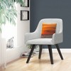 Decorative Throw Pillow_3 by Trademark Fine Art - 3 of 4