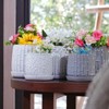 VisioGear 2PCS Ceramic Flowerpot, 7" Modern Planter for Patio, Garden, Windowsill, Antique Grey, 7.88"*7.88"*7.09" - 2 of 4
