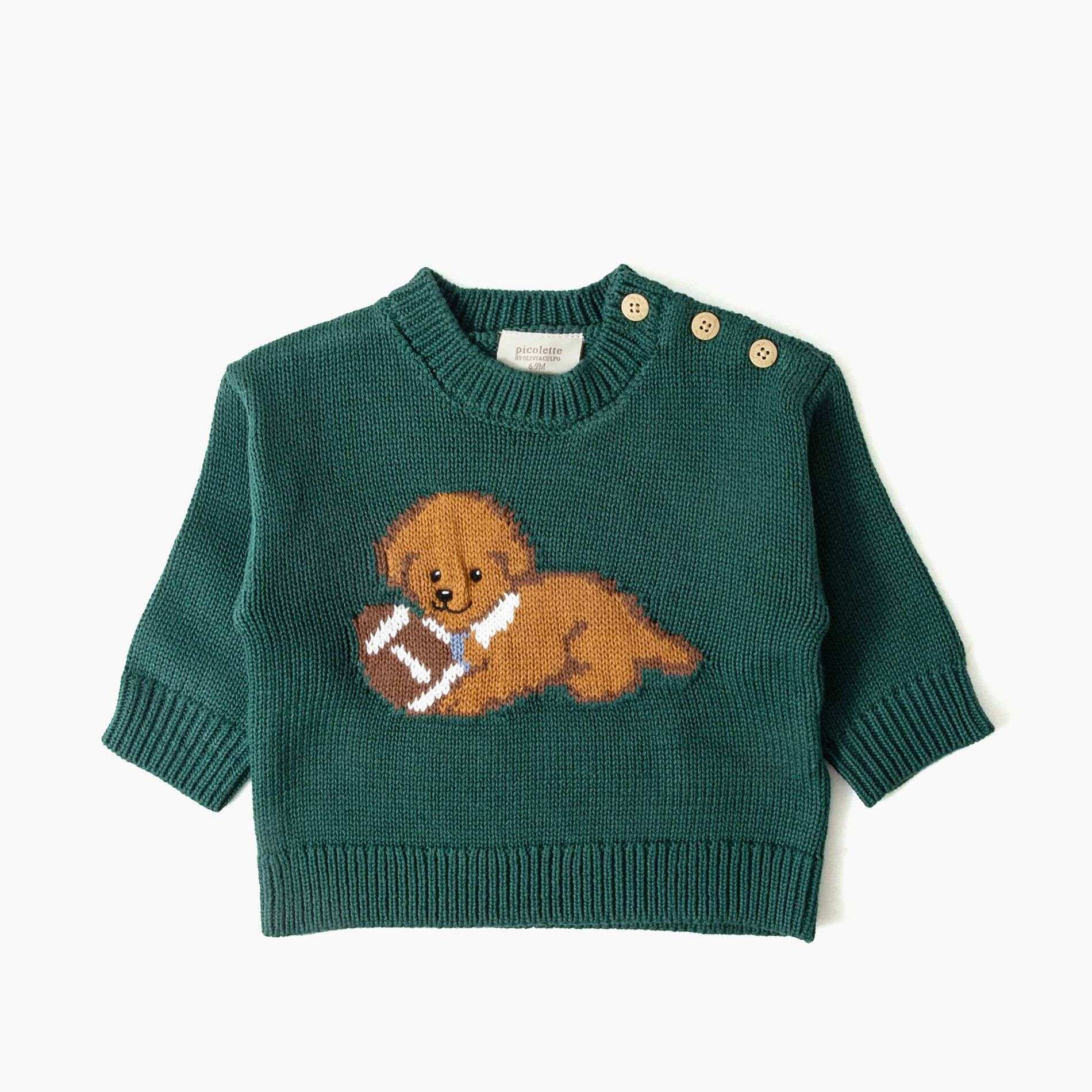 Picolette by Olivia Culpo Baby Boys' Oliver Dog Long Sleeve Crewneck Pullover Sweater - Green Newborn