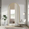 Wooakway Modern Arched Metal Full Length Mirror Bathroom Mirror Decorative Wall Mirror Floor Mirror for Bedroom Living Room - 3 of 4
