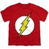 Boys' Short Sleeve the Flash Distressed T-Shirt - 2 of 4