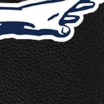 new york giants